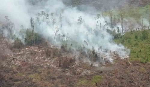 Enam Pesawat Masih Siap Siaga Padamkan Karhutla di Riau