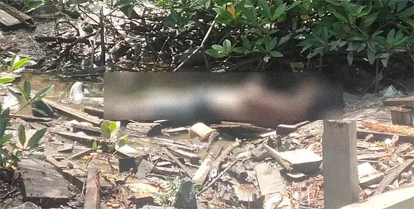 Heboh, Warga di Kepulauan Meranti Temukan Mayat Laki-laki Tergeletak di Hutan Mangrove
