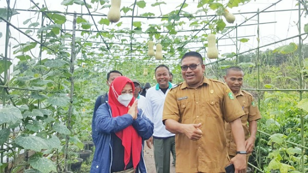 Kunjungi Agro Wisata di Kepulauan Meranti, Intsiawati Ayus Serahkan Bantuan Bibit Bawang Merah