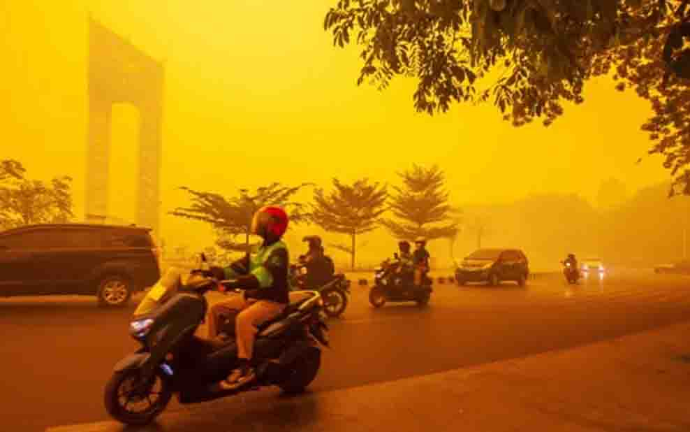 Ribuan Penerbangan Terdampak Kabut Asap Karhutla, Pahami Hak Pengembalian Tiket Anda