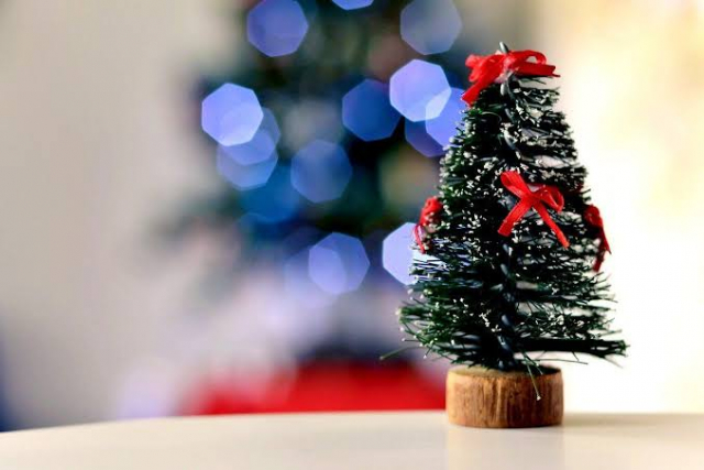Satu Pleton Satpol PP Pekanbaru Disiagakan Sambut Natal dan Tahun Baru