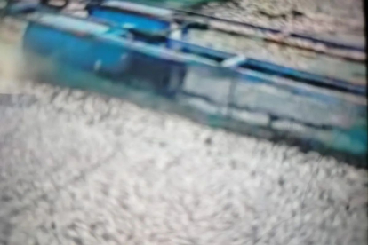 GoRiau Akibat Angin Kencang di Danau Maninjau, Kematian Ikan Capai 75 Ton