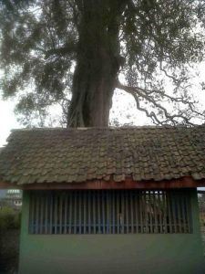 GoRiau Aneh, Makam Ini Tak Tersentuh Gempuran Abu Vulkanik Gunung Kelud