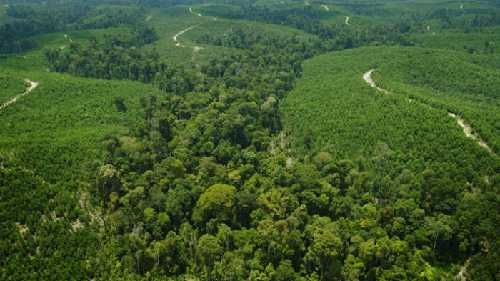 DPRD Riau Minta Pembangunan Transmisi Listrik dan Gardu Induk Tetap Dilanjutkan