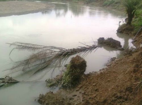 Abrasi Sungai Kampar Ancam Rumah Penduduk di Teluk Meranti