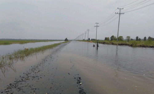 Banjir Luapan Sungai Kampar di Langgam Mulai Surut, Akses Ponton Masih Ditutup