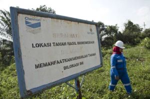 GoRiau Kriminalisasi Kasus Bioremediasi Chevron Dinilai Hambat Revitalisasi Lingkungan