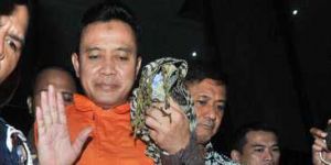 GoRiau Korupsi Bupati dan Keluarganya Merajalela, Ini Buktinya