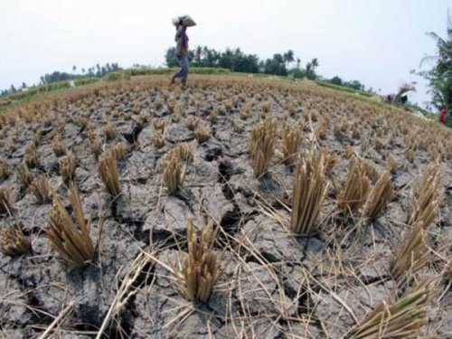 Menurut BMKG: 64 Persen Wilayah Indonesia Memasuki Musim Kemarau