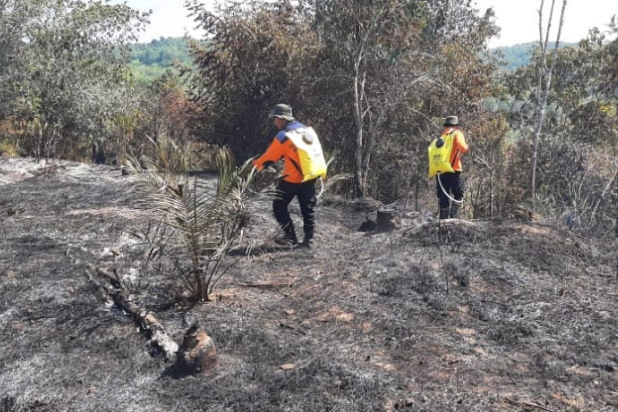 11 Hektare Kebakaran Lahan di Kampar Berhasil Dipadamkan