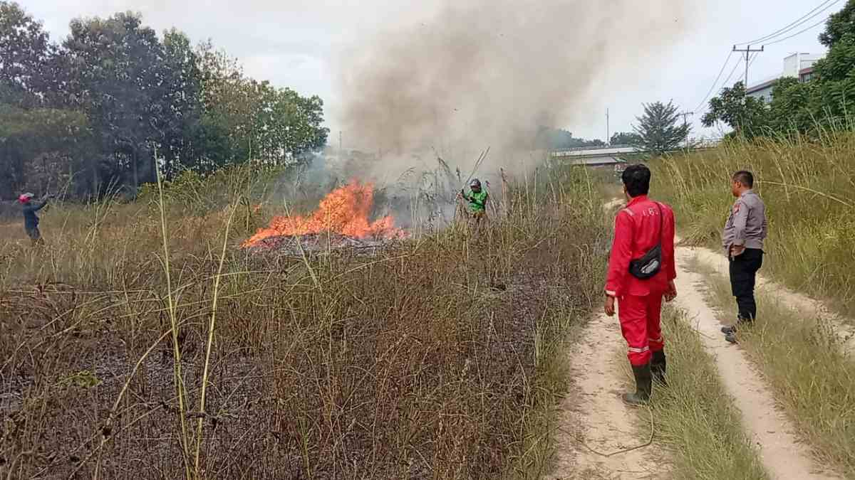 Titik Api Muncul di Pusat Kota Pekanbaru, Tiga Armada BPBD Dikerahkan ke Area Hutan Jabon Dekat Mall SKA