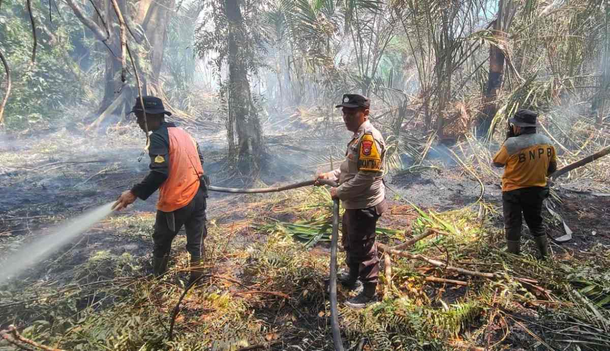 Kebakaran Lahan Gambut Bengkalis Sasar Area Tak Terawat, Petugas Hadapi Krisis Air