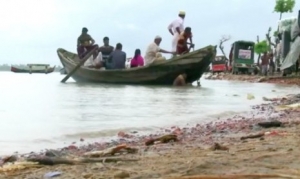 GoRiau Militer Myanmar Kembali Bunuh 12 Muslim Rohingya di Rakhine