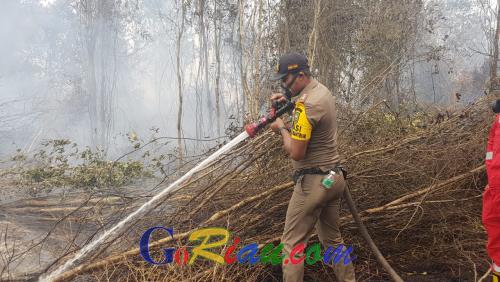Satpol PP Riau Ikut Padamkan Api di Rimbo Panjang Kampar: Ini Bentuk Kemanusiaan