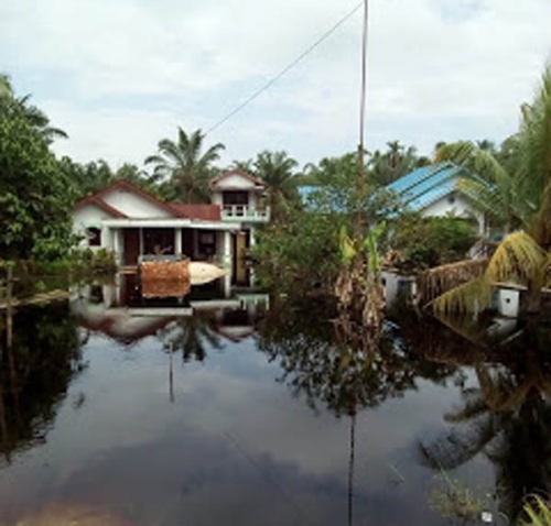 Warga Bangko Pusako Rohil Keluhkan Kebun dan Sekolah Mereka Terendam Air
