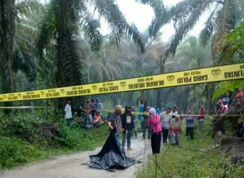 Diduga Dibunuh, Warga Dumai Temukan Mayat Lelaki di Jalan Perkebunan