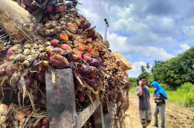 Ekonom: Riau Perlu Serius Garap Peluang Ekonomi Hijau untuk Stabilitas Ekonomi
