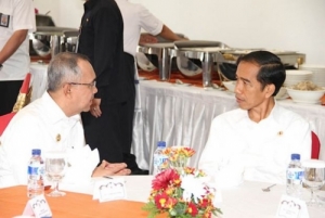 11 Februari, Jokowi akan Launching Peremajaan 30 Ribu Hektare Kelapa Sawit di Riau