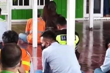 Unik, Orangutan Duduk Tenang dalam Masjid, Khusuk Dengarkan Kutbah Jumat