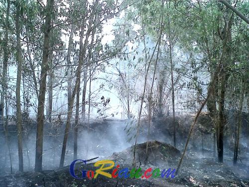 Sepanjang Januari-Februari 2017, 64 Hektare Lahan di Riau Terbakar