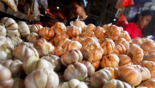 Harga Bawang Putih di Malaysia Juga Naik