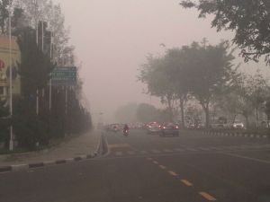 GoRiau Empat Perusahaan Pembakar Lahan Riau di Tahun 2013, Tahun Ini Juga Membakar Lagi