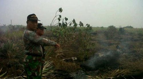 Wah, Ternyata Lahan Cagar Biosfer Riau Dijual Rp 14 Juta Per 2 Hektar