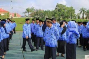 GoRiau Pengajuan Formasi Penerimaan CPNS 2016 Paling Lambat Akhir April