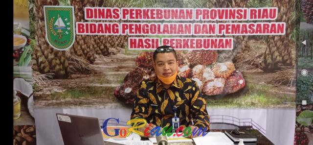 Alhamdulillah, Harga TBS Kelapa Sawit di Riau Pekan Ini Naik Jadi Rp2.370,57 per Kg