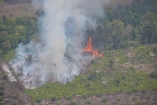 100 Hektar Lahan di Pulau Rupat Terbakar