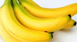 GoRiau Rutin Makan Pisang Bisa Atasi 7 Penyakit Ini