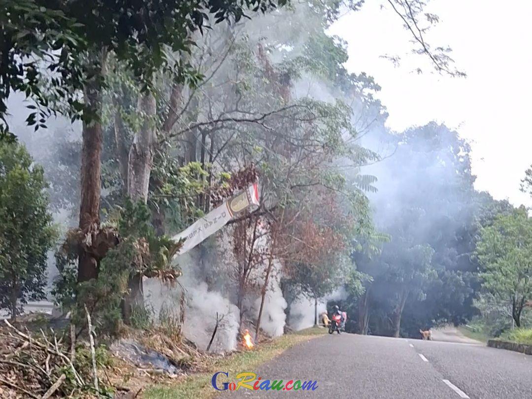 Abaikan SOP, Petugas Kebersihan Pemda Kuansing Bakar Sampah di Tengah Bencana Kabut Asap