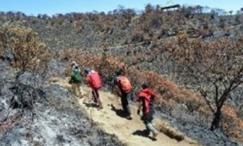 7 Pendaki Gunung Lawu Tewas Terpanggang karena Tak Patuhi Imbauan Relawan