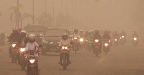 Hampir Seluruh Riau Kualitas Udaranya Berbahaya Akibat Asap, Warga Mengap-mengap Cari Udara Bersih