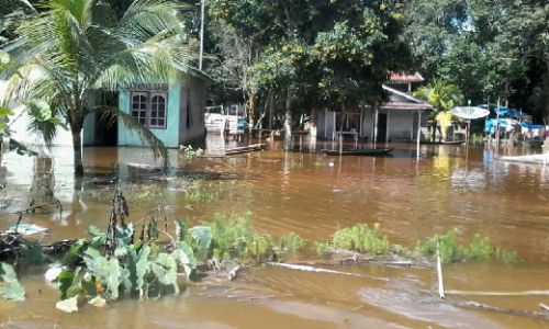 Diskes dan BPBD Pelalawan Siapkan Posko untuk Korban Banjir Lubuk Kembang Bunga Ukui