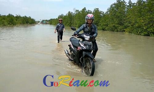Terendam Air Pasang, Melintas Jalan Kempang Mekong-Semukut Butuh Banyak Biaya