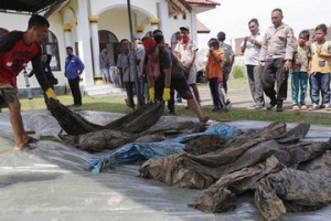 GoRiau Kuburan Massal Korban Tsunami Aceh Ditemukan Tanpa Sengaja