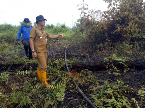 28 Personil Gabungan Berjibaku Padamkan Lima Hektar Lahan Gambut di Kampung Penyengat Siak