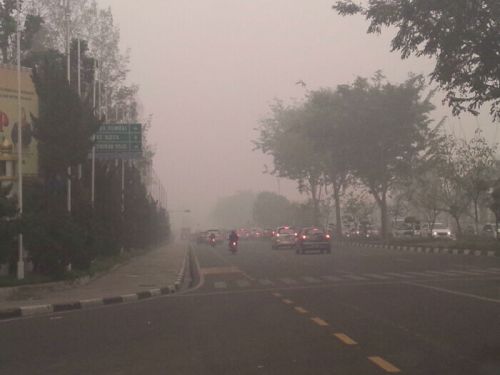 Kapolri: 90 Persen Kebakaran Hutan di Riau Unsur Kesengajaan