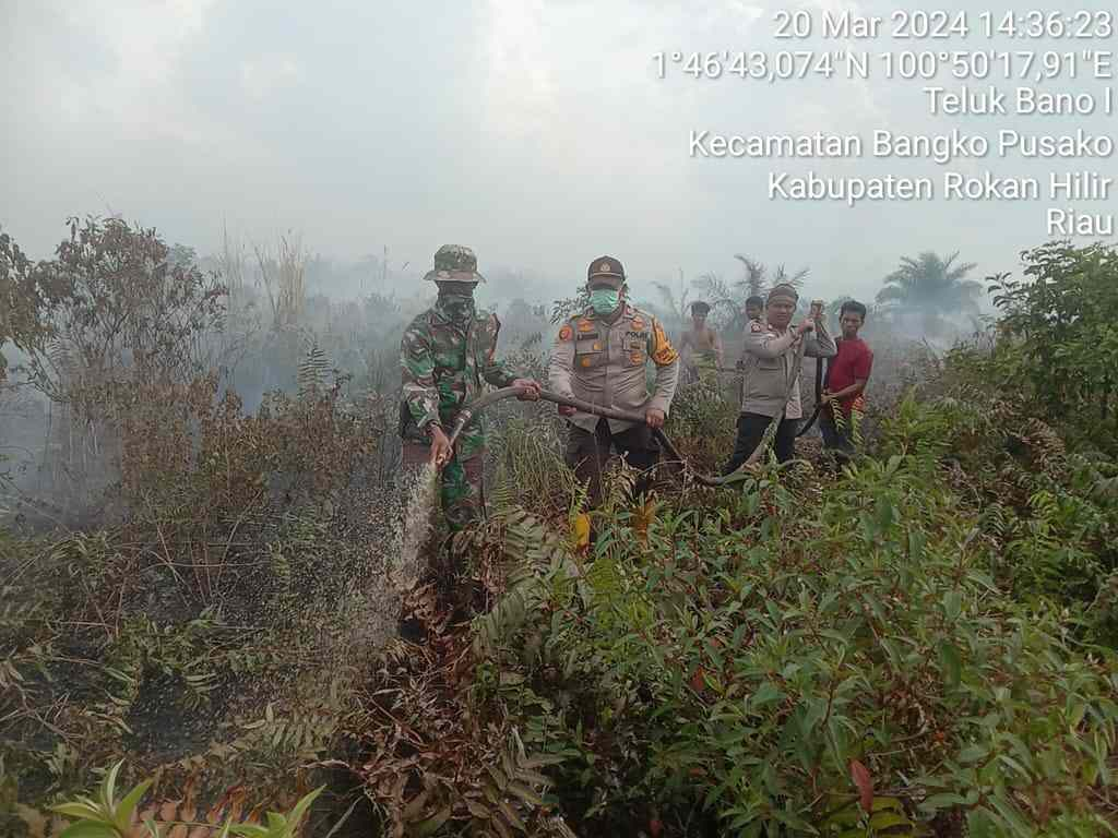 Baru Saja Apel Siaga, Karhutla Terjadi di Bangko Pusako