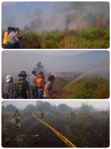 Waspada Karhutla! 4 Hektar Lahan di Tanah Putih Rohil Hangus Terbakar