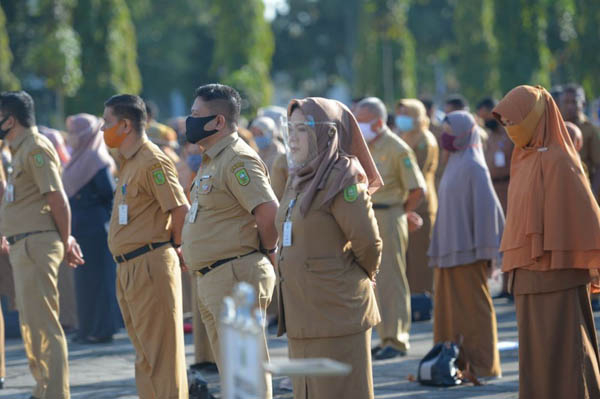 Riau Dapat Jatah 455 Formasi untuk CPNS dan PPPK Tahun 2021