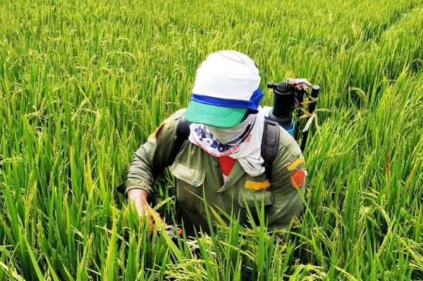 Perang Iran-Israel Berdampak ke Sektor Pertanian, Firman Ingatkan Ancaman Krisis Pangan Global