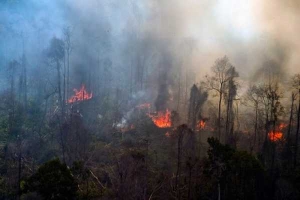 GoRiau Udara di Bangko dan Petapahan Masuk Kategori tidak Sehat