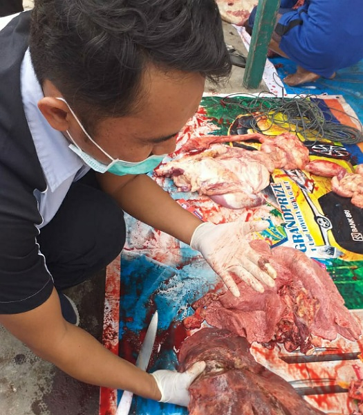 DKPTPP Kepulauan Meranti Sebar Petugas Pemeriksa Daging Kurban, Ini Hasilnya