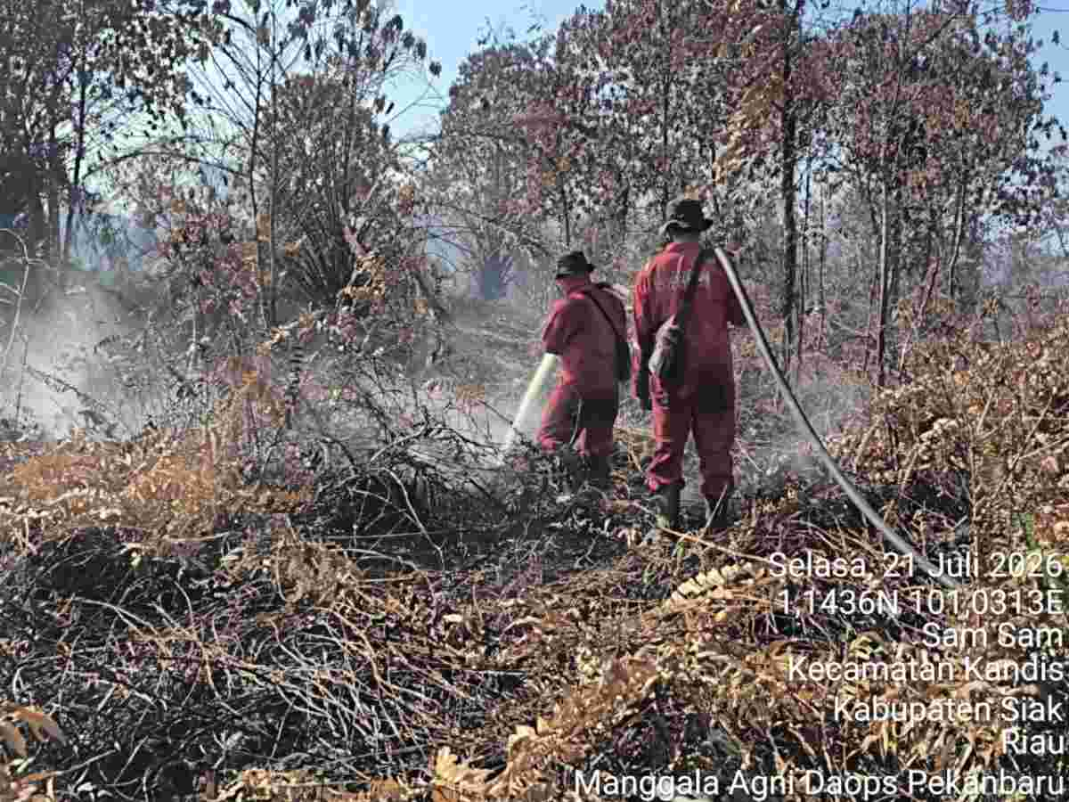 81 Hektare Gambut Mandau Terbakar, Manggala Agni Fokus Tahap Pendinginan