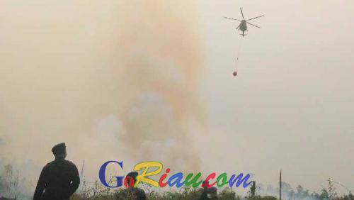 Beroperasi Besok, BNPB Tambah 1 Helikopter MI-8 untuk Bom Air di Riau