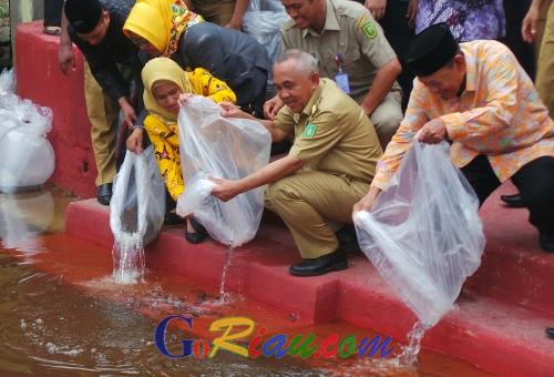 Gubernur Riau Sebar 58.000 Benih Ikan Baung ke Sungai Rokan di Kepenghuluan Rantau Bais Rohil