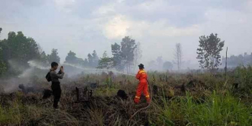 Jalankan Komitmen Pemantauan Kebakaran, PT Tunggal Mitra Plantations Padamkan Api di Rokan Hilir