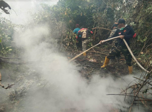 150 Banser Bantu Padamkan Kebakaran Lahan 20 Ha di Pelalawan